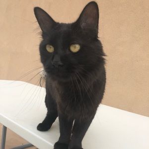 Meet your Posher, Nathan